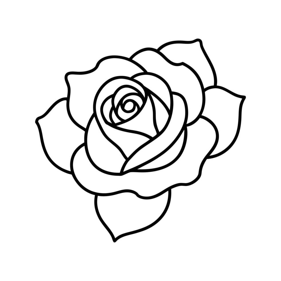 Black Line Art Single Rose Flower Botanical Illustration vector