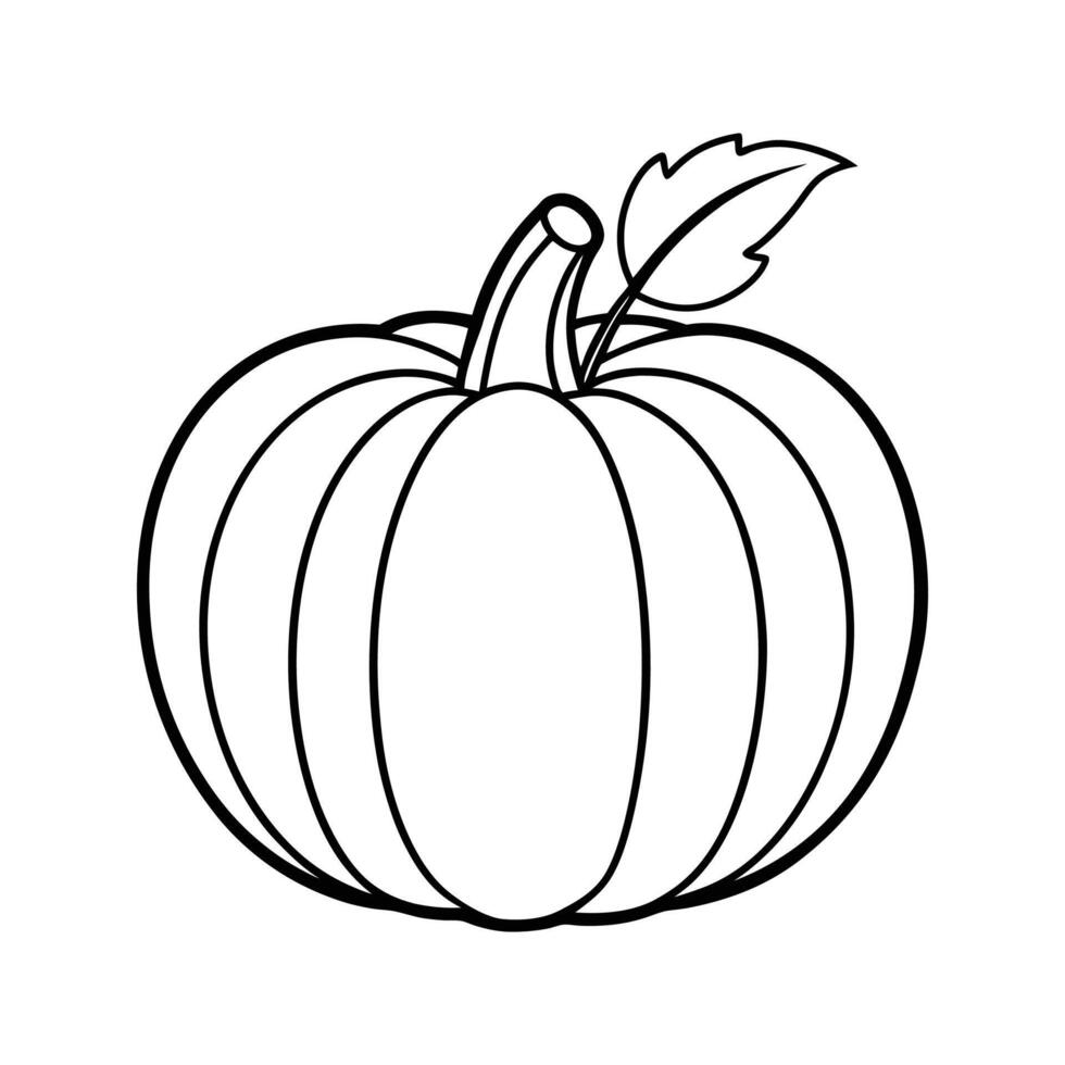 Line Drawing Single Pumpkin with Leaf Stem gourd squash vector