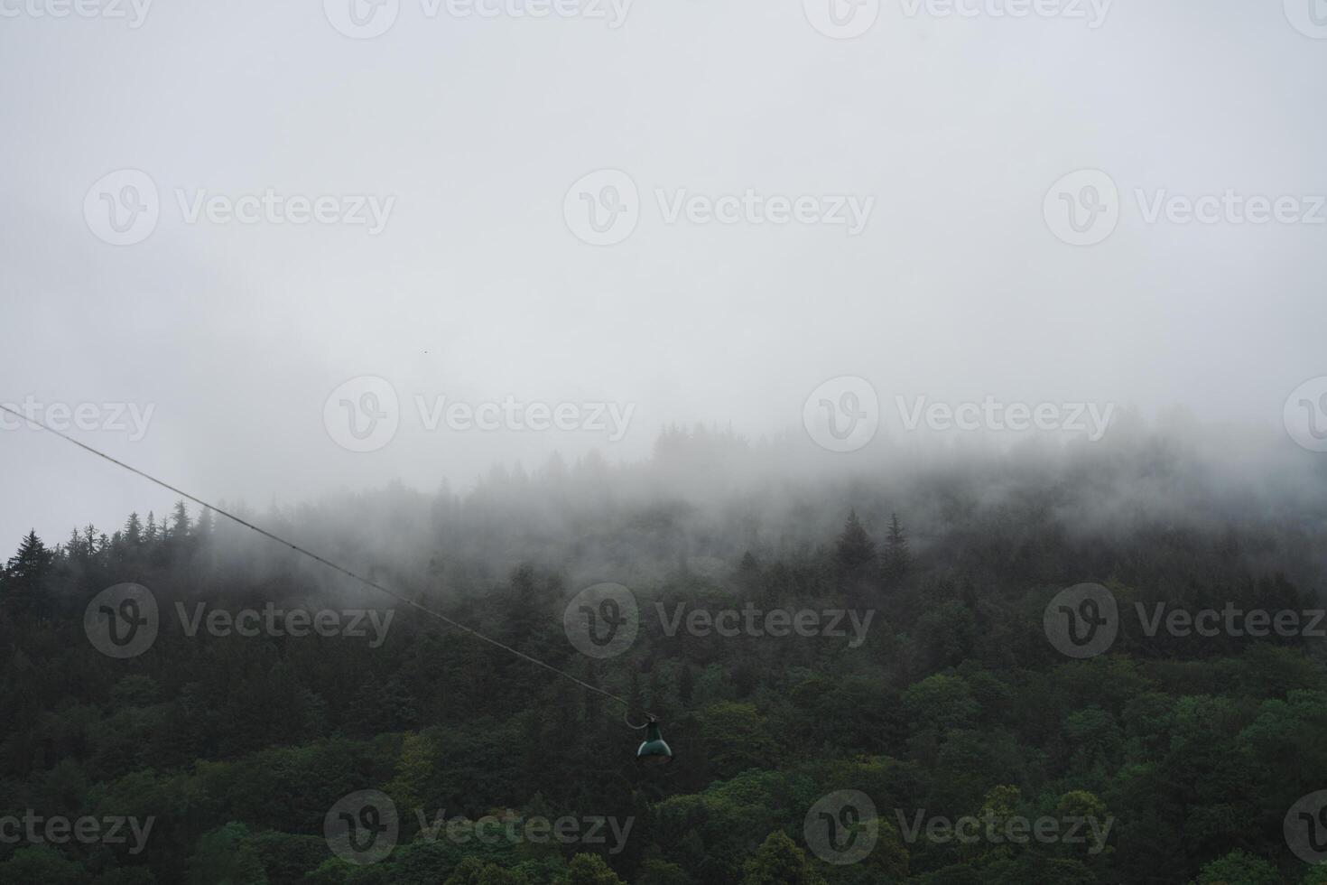 Foggy forested mountain landscape with moody mist in Norway photo