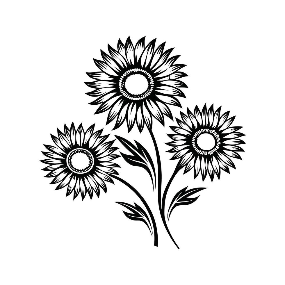 Elegant black and white illustration of three blooming sunflowers on white background vector