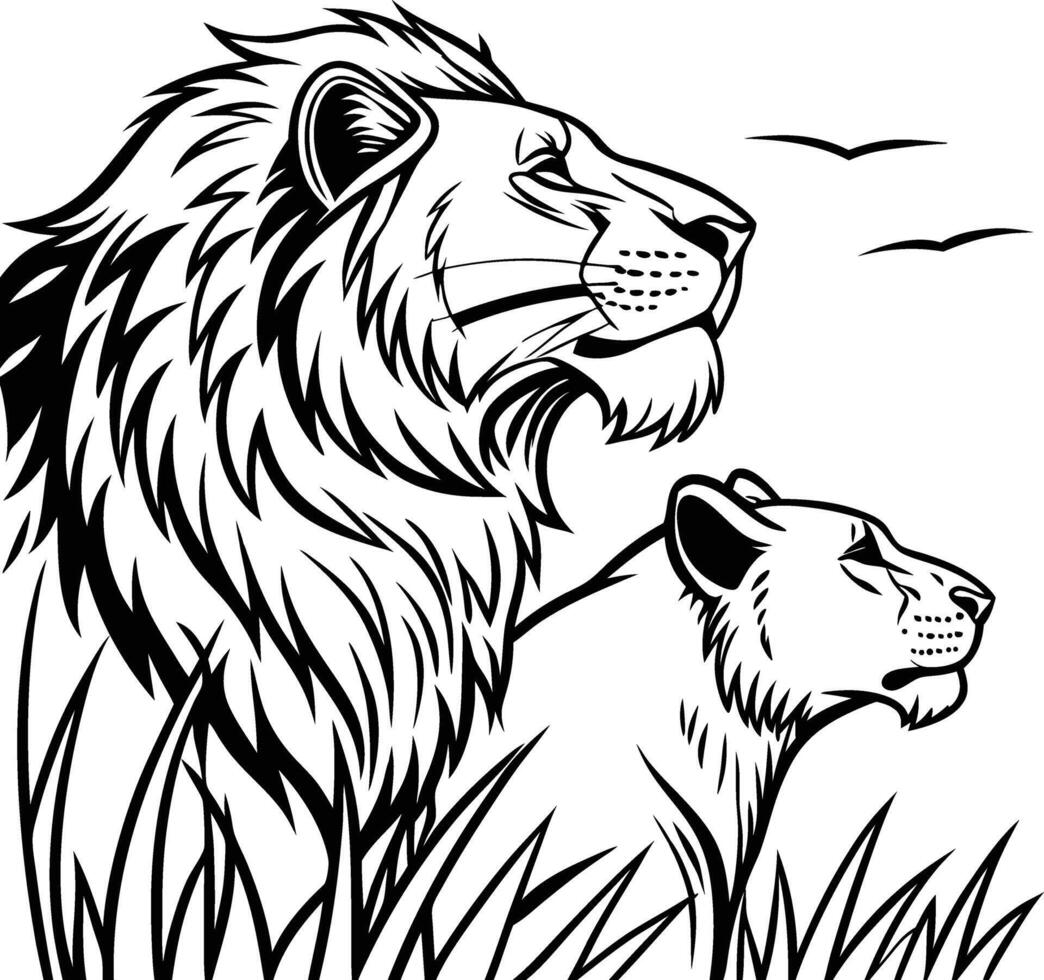 Lion and Lioness Gazing Skyward vector