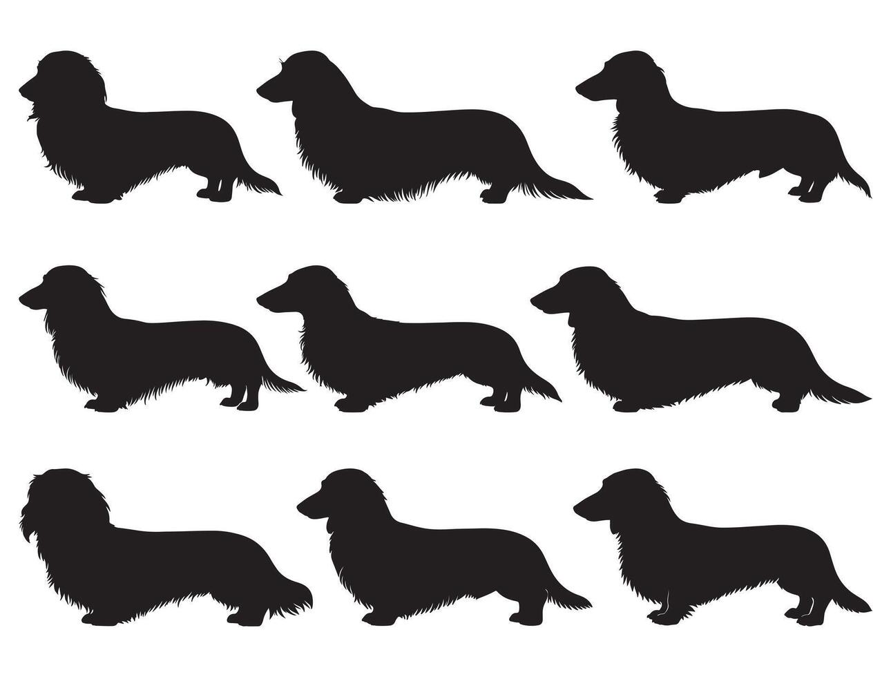 Longhaired Dachshund Silhouette vector