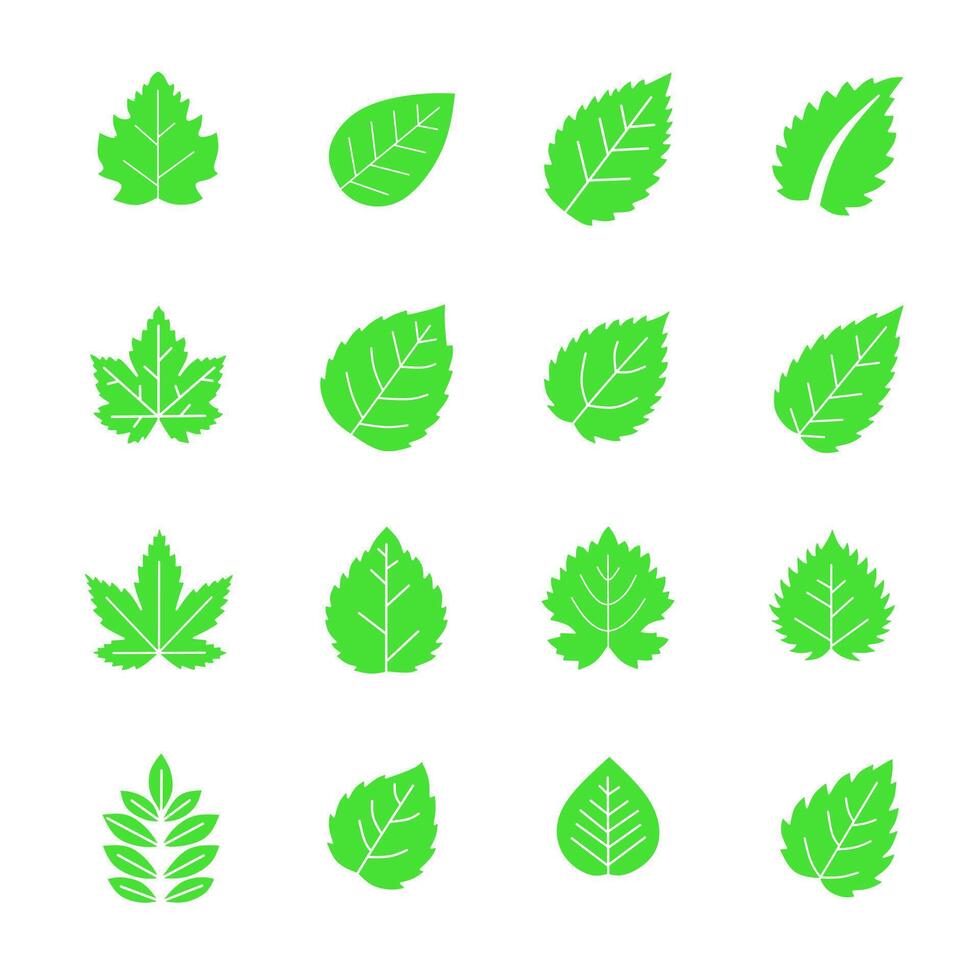 Flat style green leaf icons in solid color. Clean and modern set for eco-friendly projects and nature graphics vector