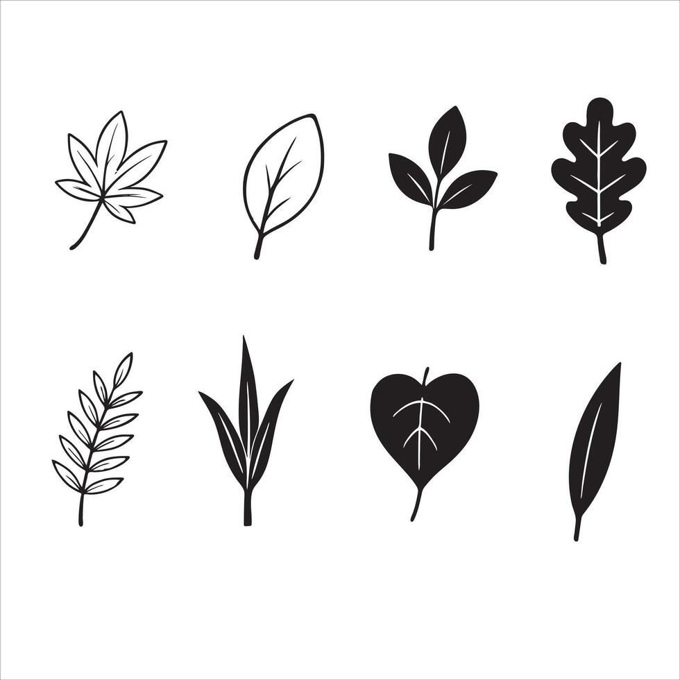 A Set of Stylized Leaf Illustrations for Eco-Friendly, Nature, and Sustainable Design Themes vector