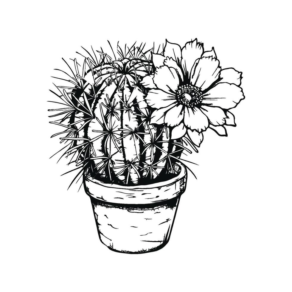 Cactus with Flowers in Pot Illustration. vector