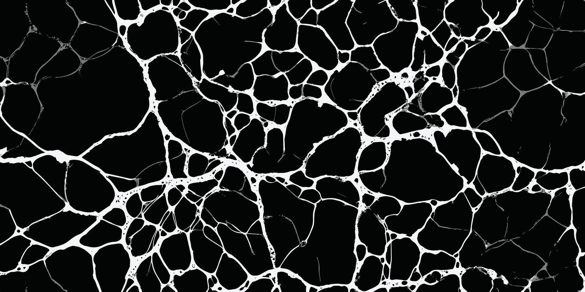 a black and white background with cracks or abstract spider web line texture vector