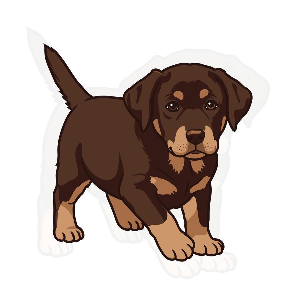 Cutie Retriever Puppy Graphic vector
