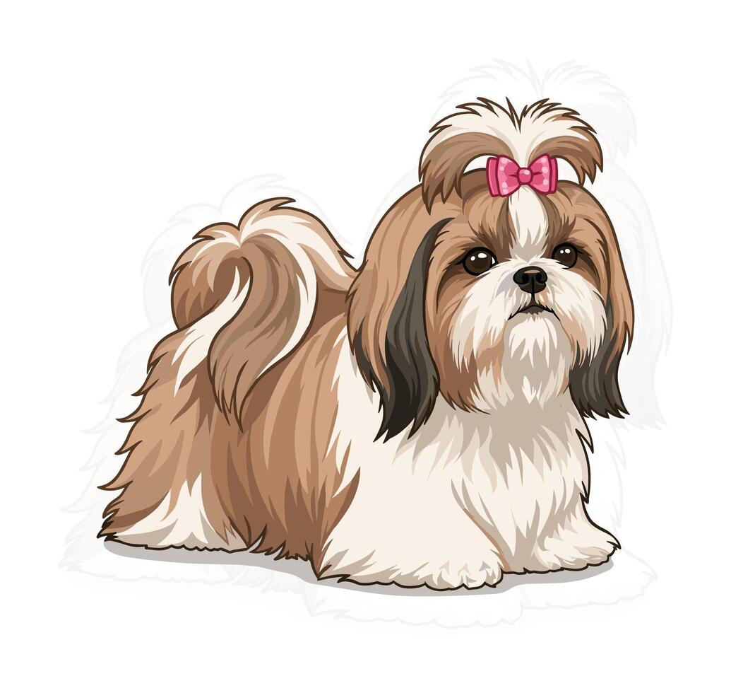 Shih Tzu Bow Cutre Dog Graphic vector