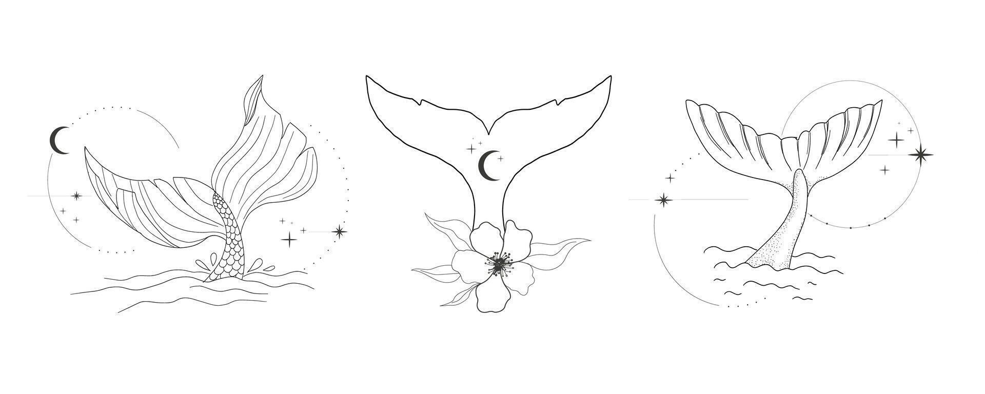 Whale tail with water splash circles stars and moon line sketch minimal geometric tattoo set. Mermaid or ocean mammal with waves vintage. vector
