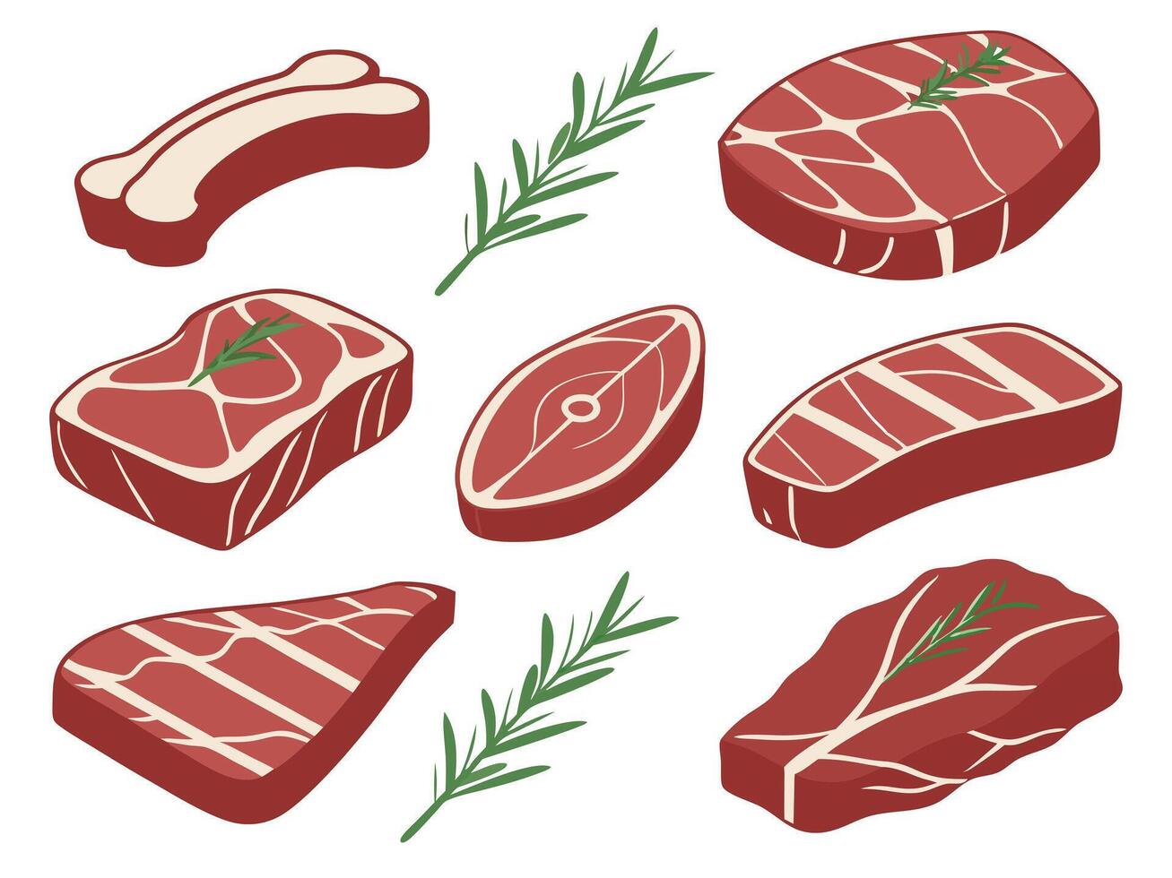 illustration of different types of raw steak cuts and rosemary sprigs on white background vector