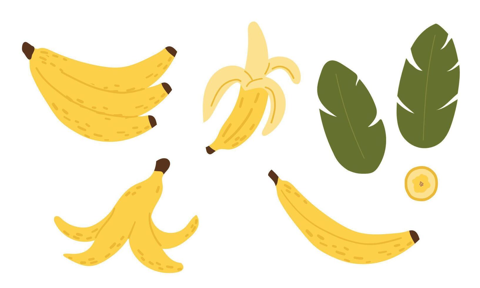 Fresh banana fruits and leaves isolated on white background. Pieces and slices collection. Tropical fruits, banana snack, vegetarian menu. vector