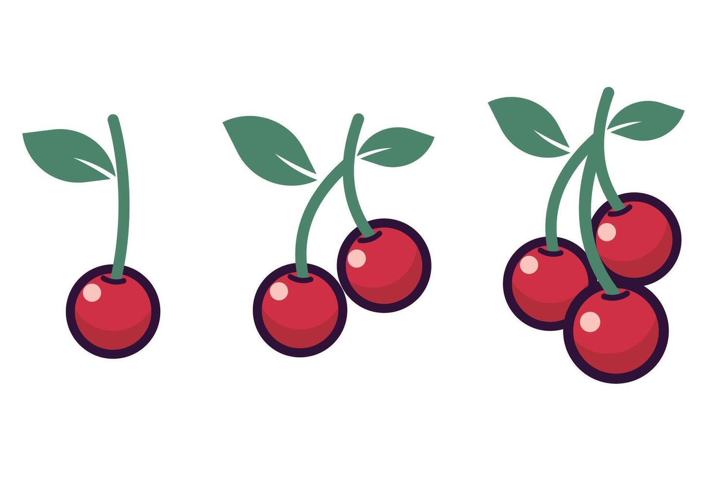 Red cherries illustration isolated vector