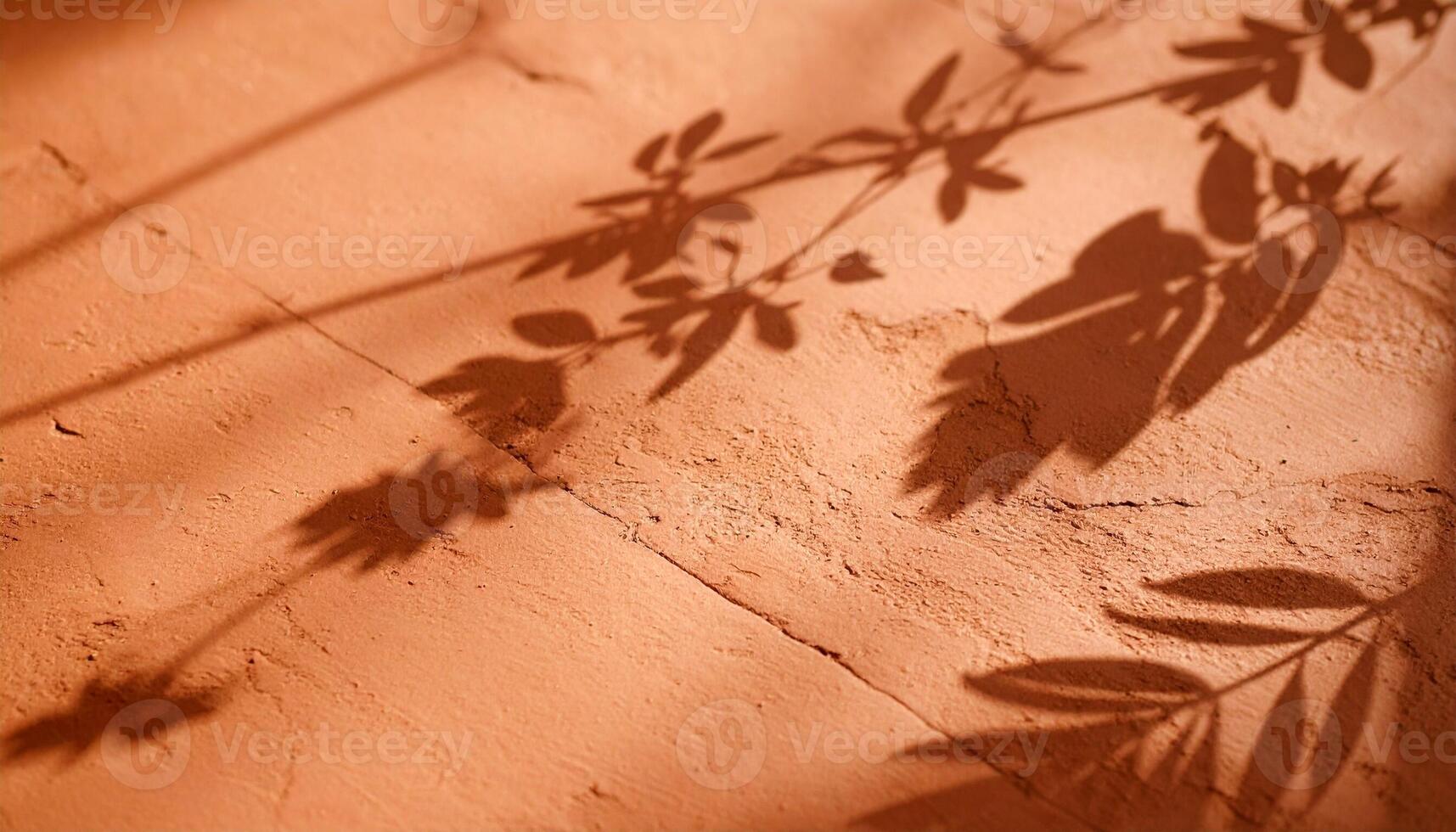 Shadows of Foliage Cast on Textured Surface During Golden Hour in a Sunlit Setting photo