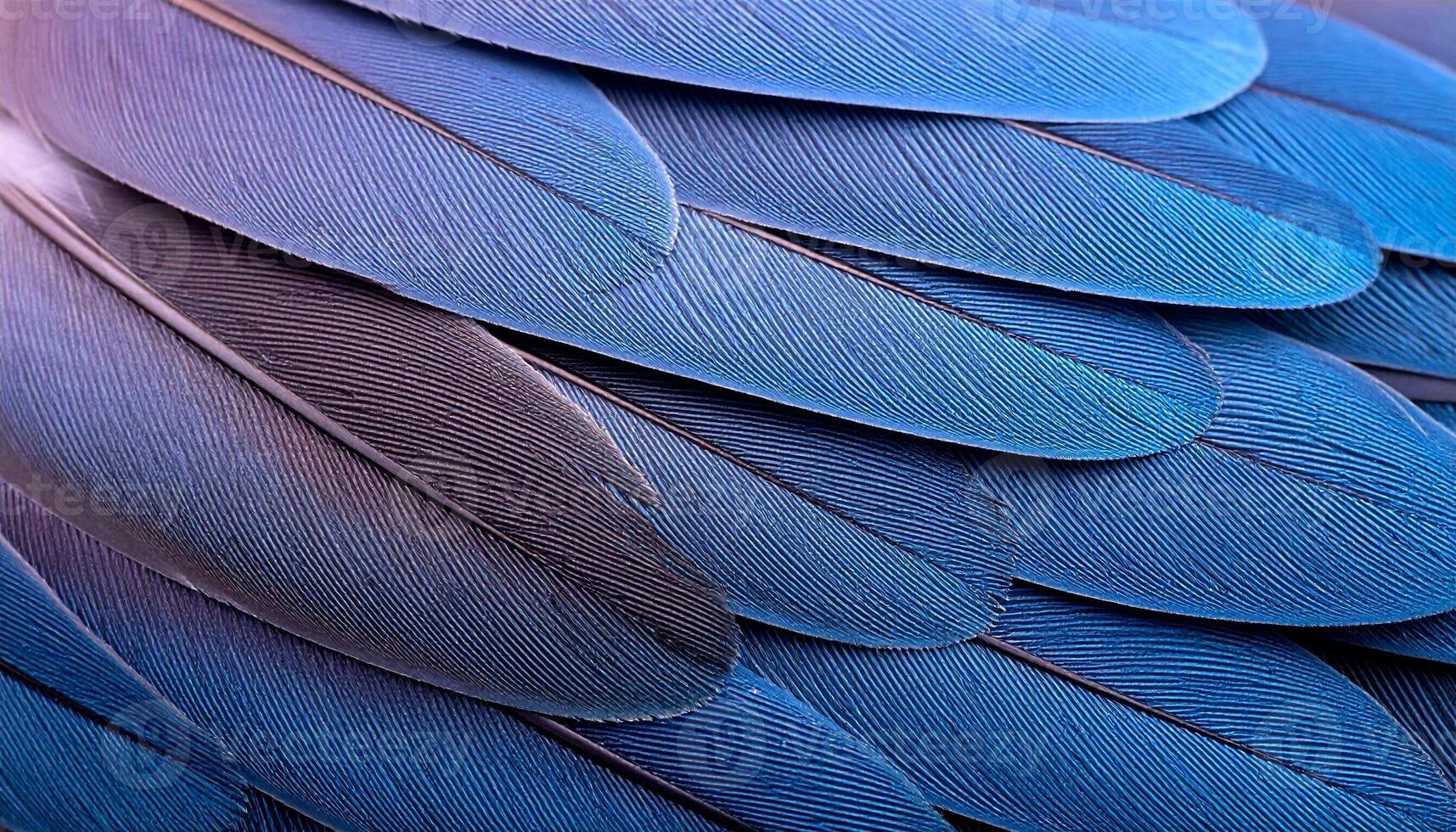 Close-up View of Vibrant Blue Bird Feathers Showcasing Intricate Textures and Patterns photo
