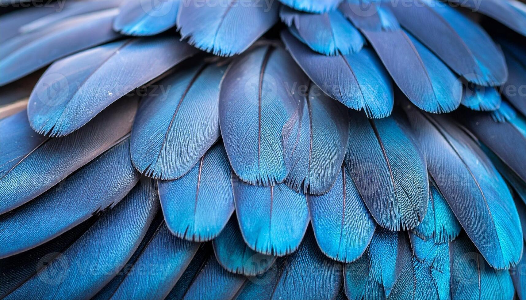 Captivating Blue Feathers of a Bird Displaying Intricate Texture and Vibrant Colors on a Close-Up Shot in Natural Light photo