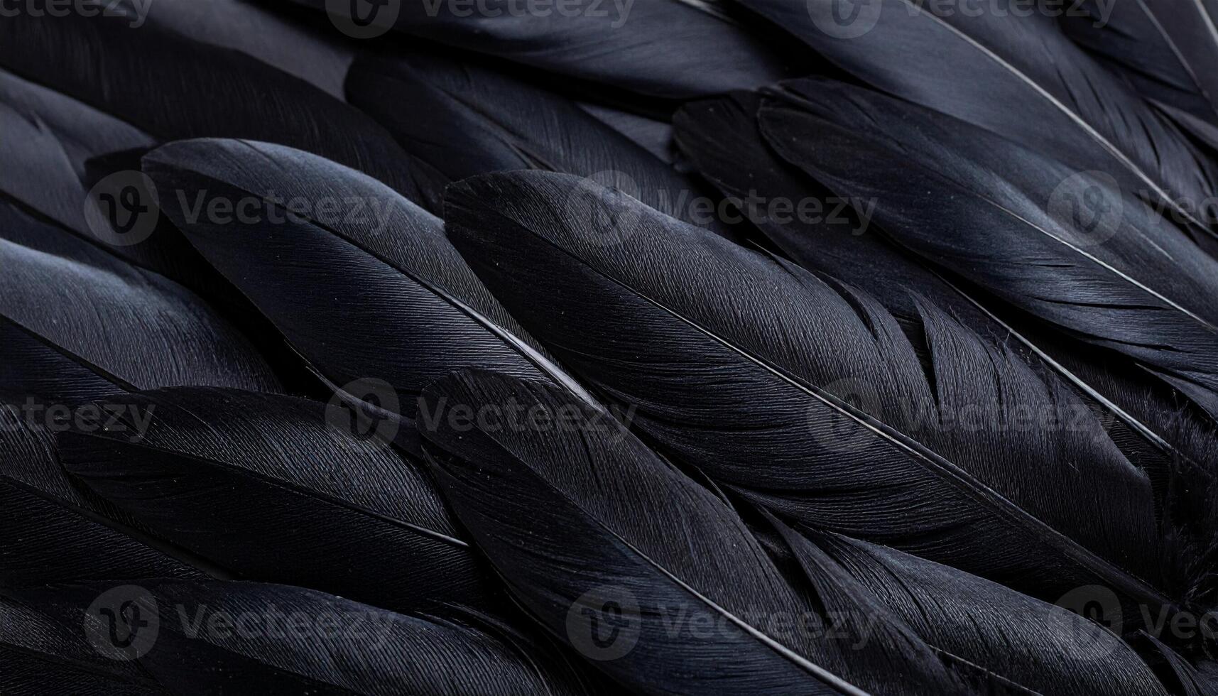 Detailed View of Glossy Black Feathers Arranged Closely Together Showcasing Texture and Color in Natural Light photo