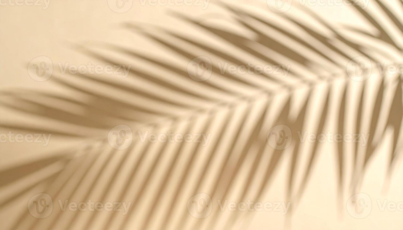 Shadow of a Palm Leaf Creating a Calming Effect on a Light Wall in a Sunlit Room photo