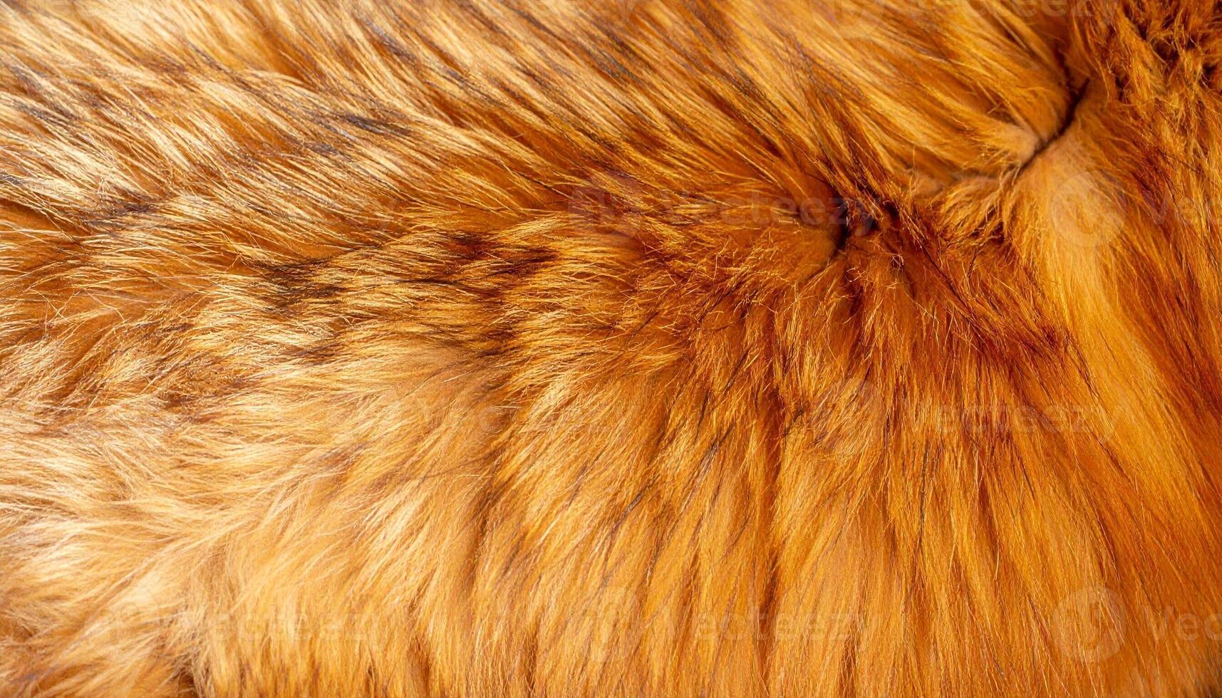 Soft and Vibrant Orange Fur Texture Close Up, Showcasing Natural Patterns and Hues in Warm Lighting photo