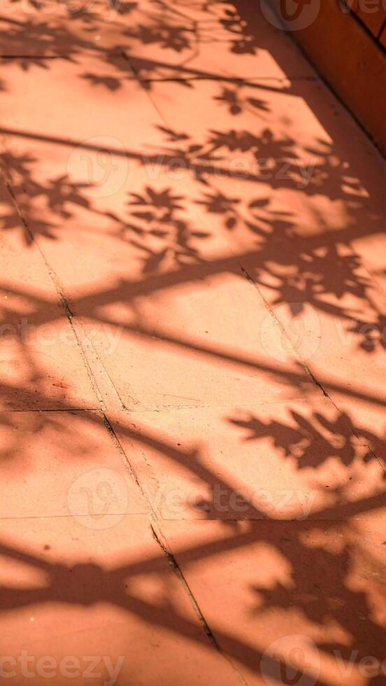 Shadows of Foliage Cast on Warm Orange Tiles Create a Tranquil Atmosphere During the Afternoon Hours photo