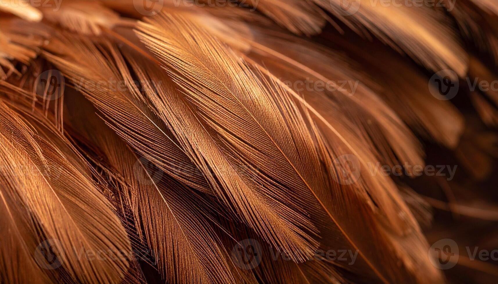 Detailed Close-Up of Textured Brown Feathers Showcasing Intricate Patterns and Hues in Natural Light photo