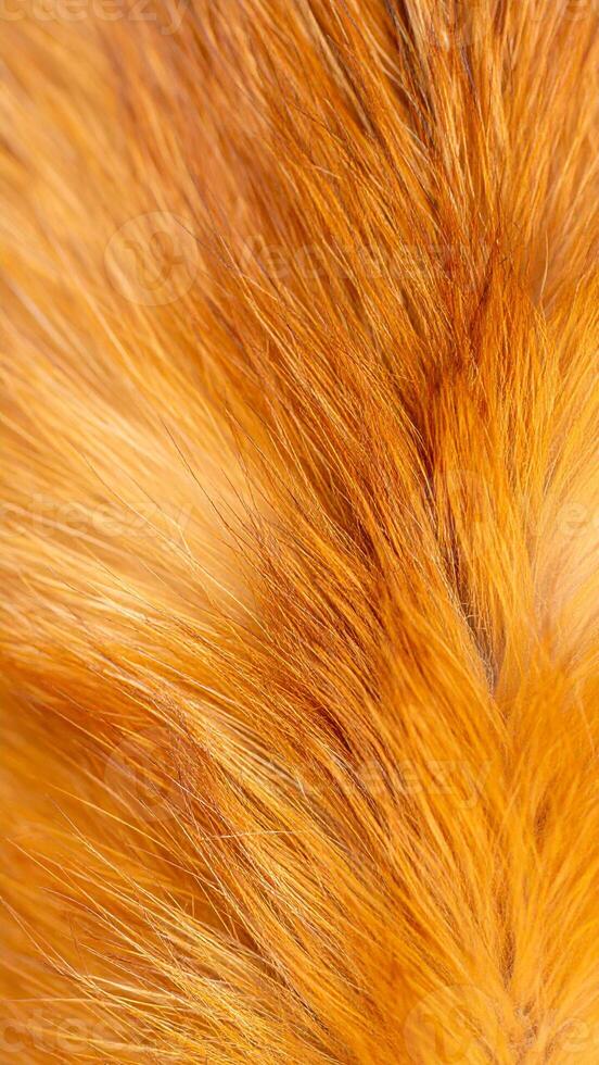 Close-up View of Vibrant Orange Fur Texture Highlighting Natural Detail in an Animal's Coat During Daylight Hours photo