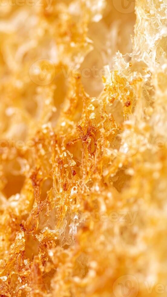 Close-up View of Golden Brown Toasted Bread Showing Texture and Crispiness in a Warm Kitchen Setting photo