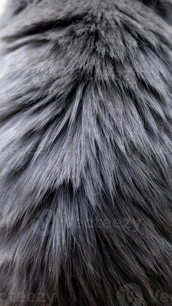 Close-up View of Textured Gray Fur on an Animal's Back Captured in Natural Light photo
