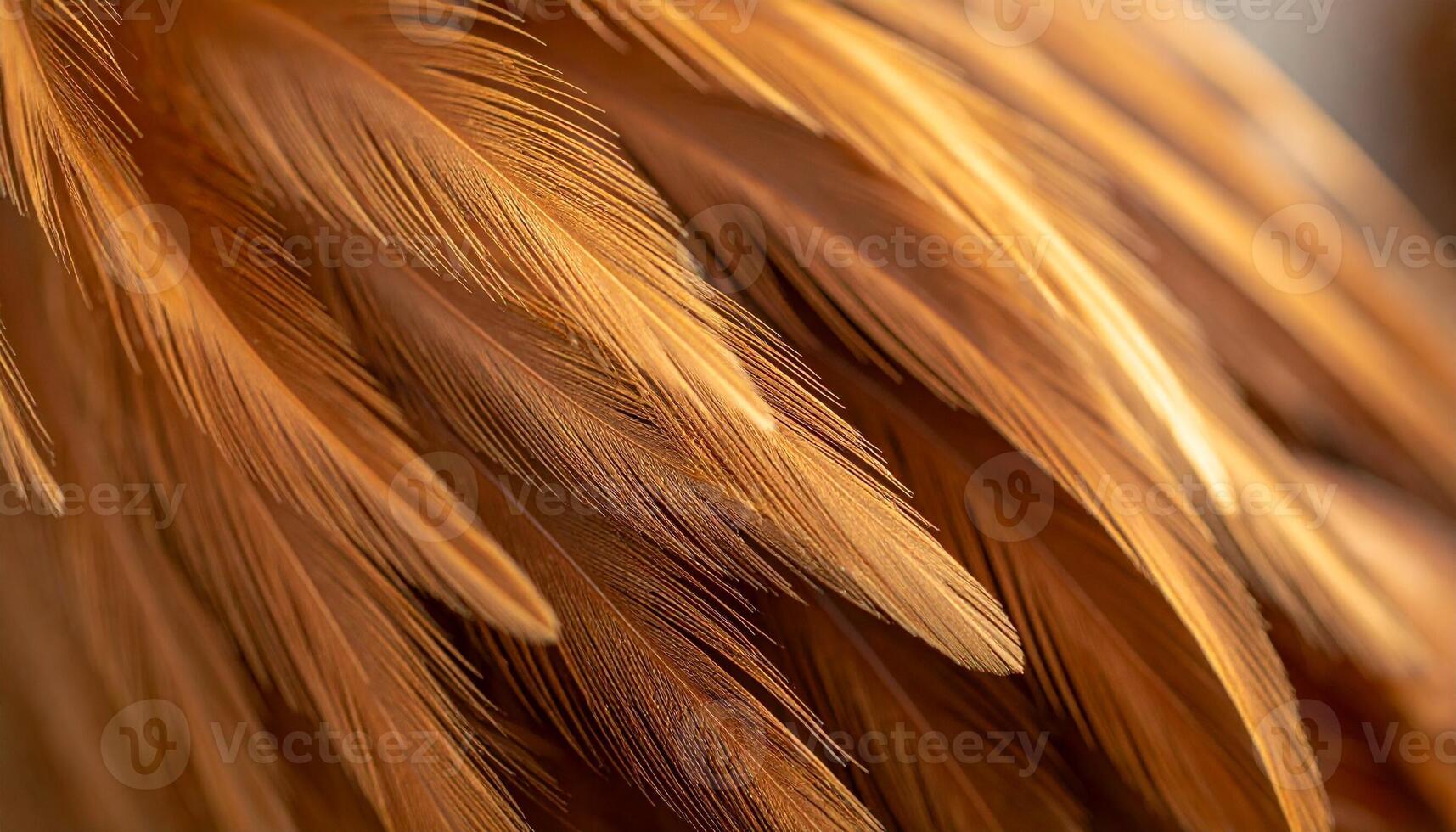 Close-up of Intricate Golden Feathers Showcasing Detailed Textures in Natural Sunlight photo