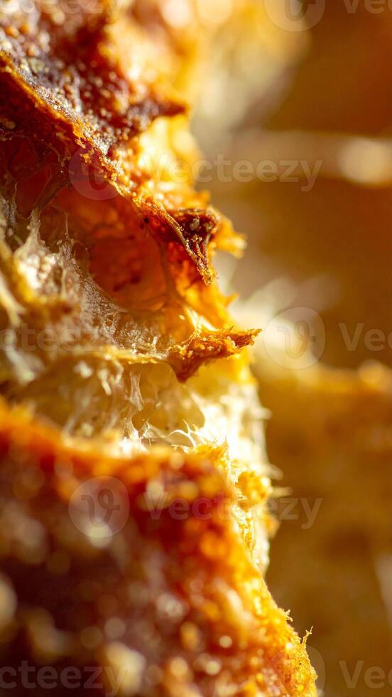 Close-up View of Freshly Baked Bread Showcasing Its Golden Crust and Soft Interior in a Warm Kitchen Environment photo