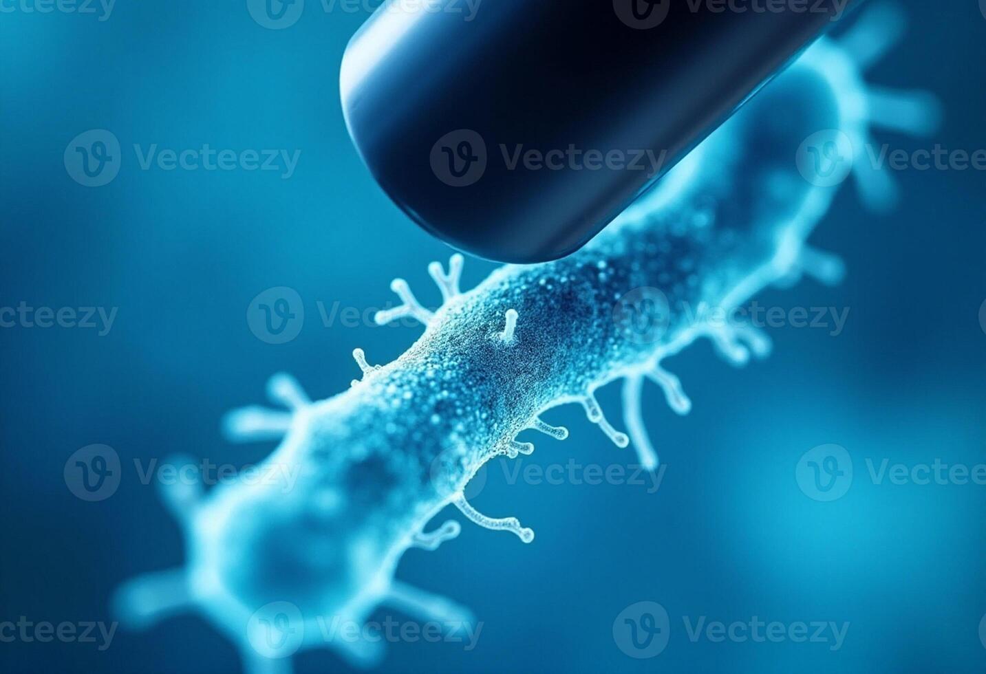 A microscope is used to examine a bacteria photo