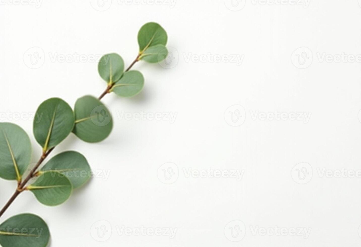Fresh Leaf Elements for Eco-Friendly Theme photo