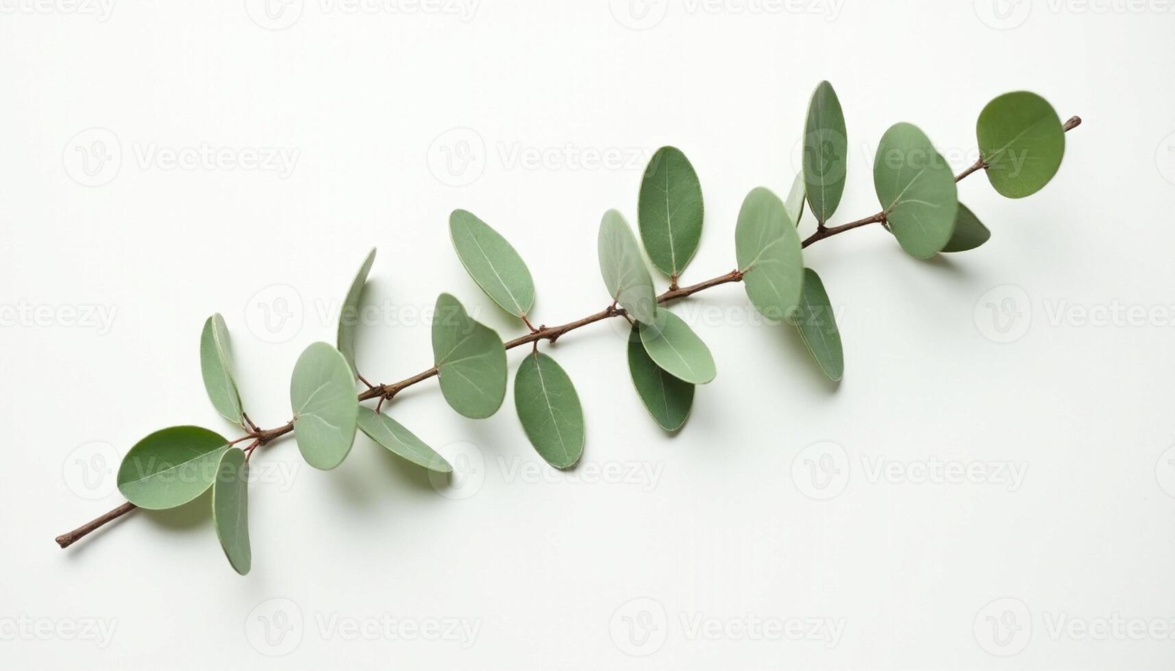 Simple Botanical Accent for Layout Mockups photo
