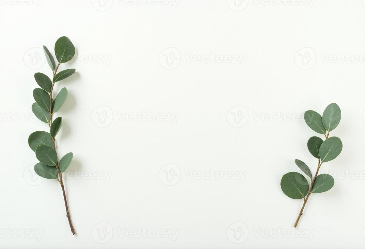 Leafy Plant Branch Stretching across the Frame photo