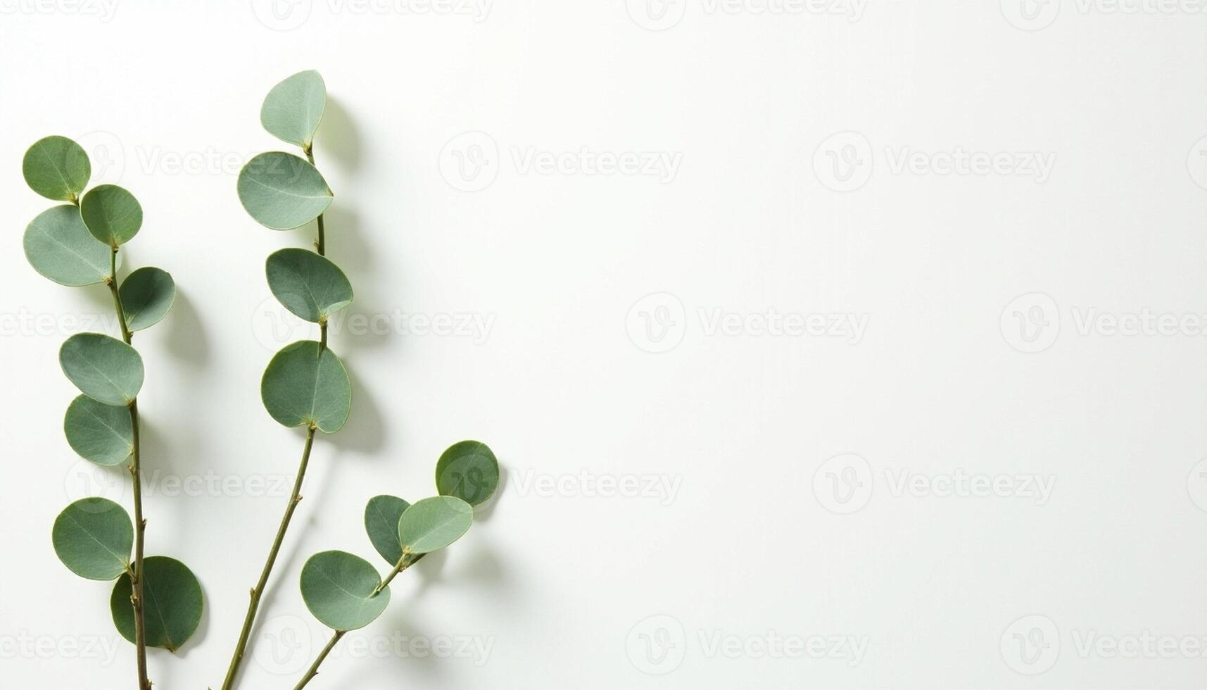 ucalyptus Flat Lay with Balanced Symmetry photo
