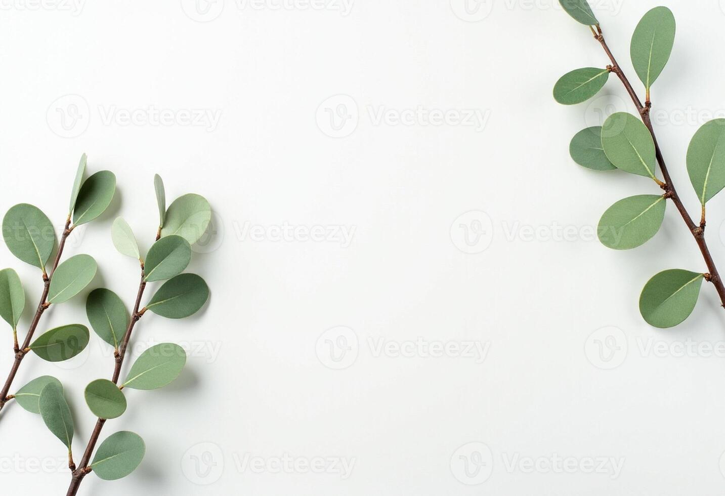 Multiple Eucalyptus Branches for Flat Design photo