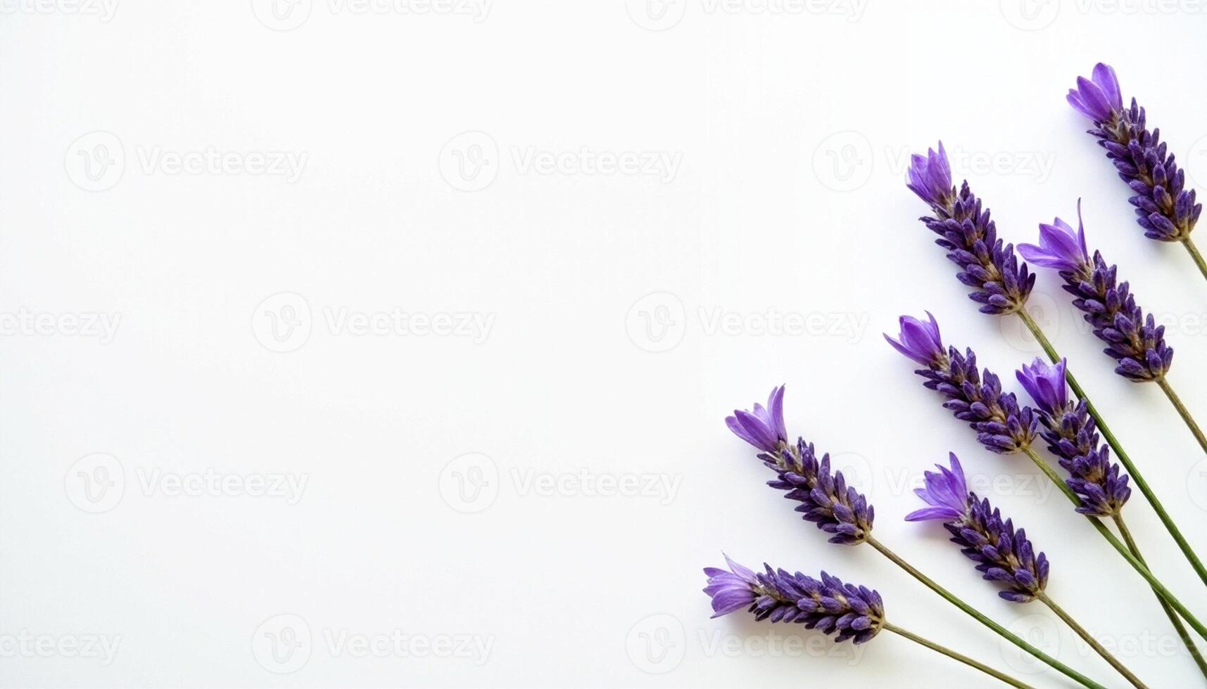 Lavender flowers angled from corner with natural light and shadows. photo