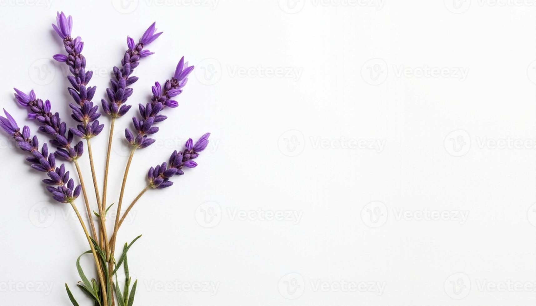 Side arrangement of lavender bouquet with soft shadows. photo