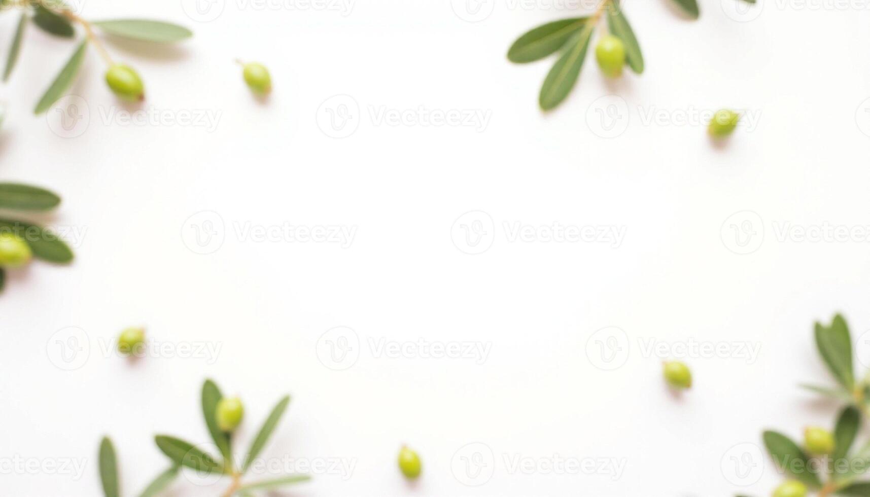 Olive branch frame with green leaves on white background photo