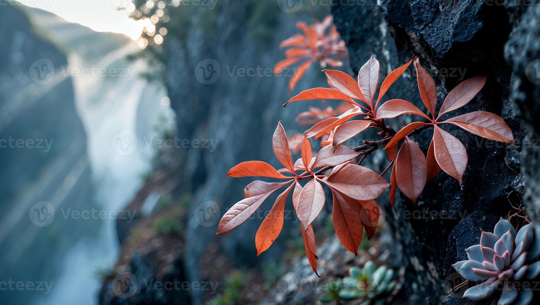 Orange Leaves on Rock Cliff Overlooking Valley with Mist and Sunlight photo