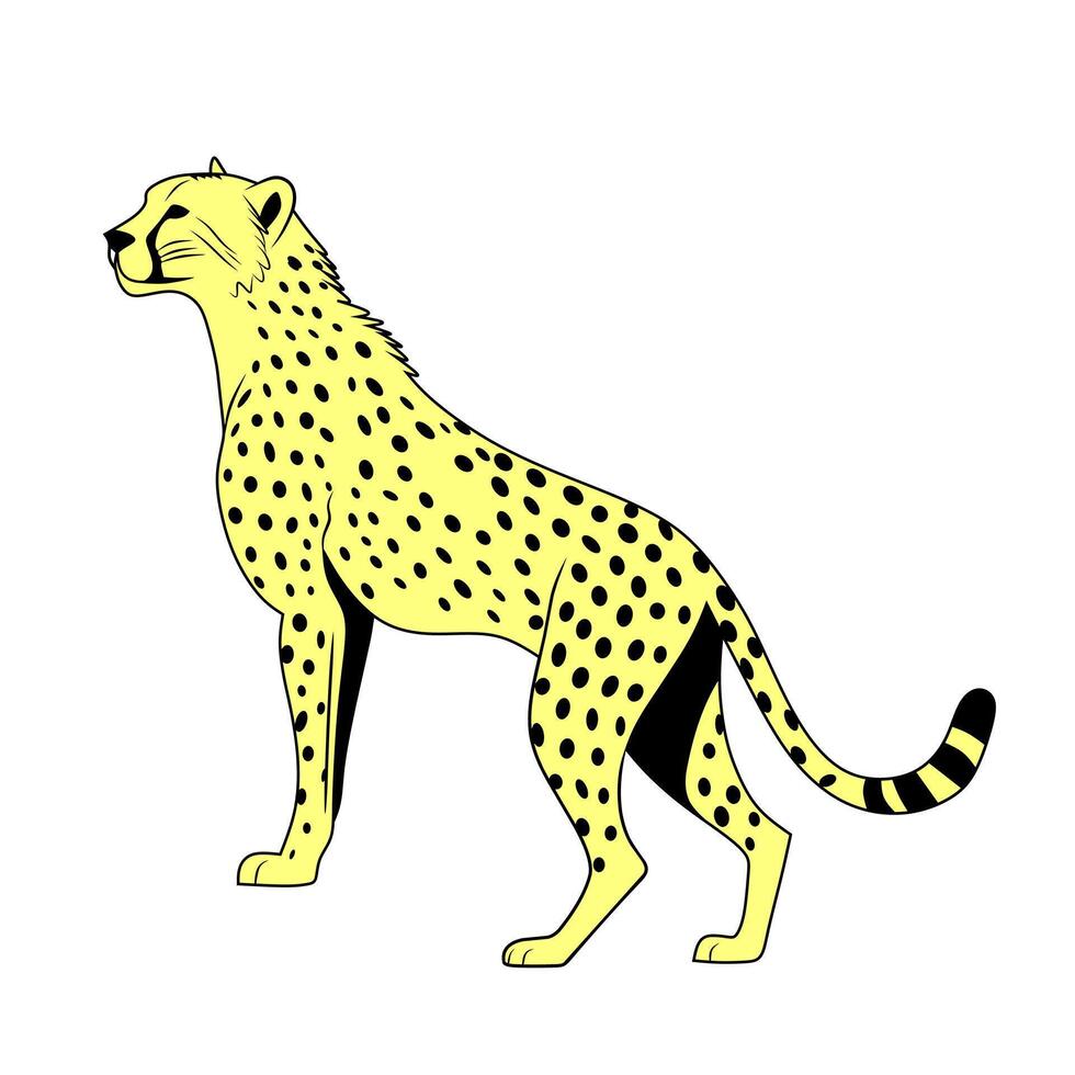 Cheetah walking alertly on a clean white background. vector