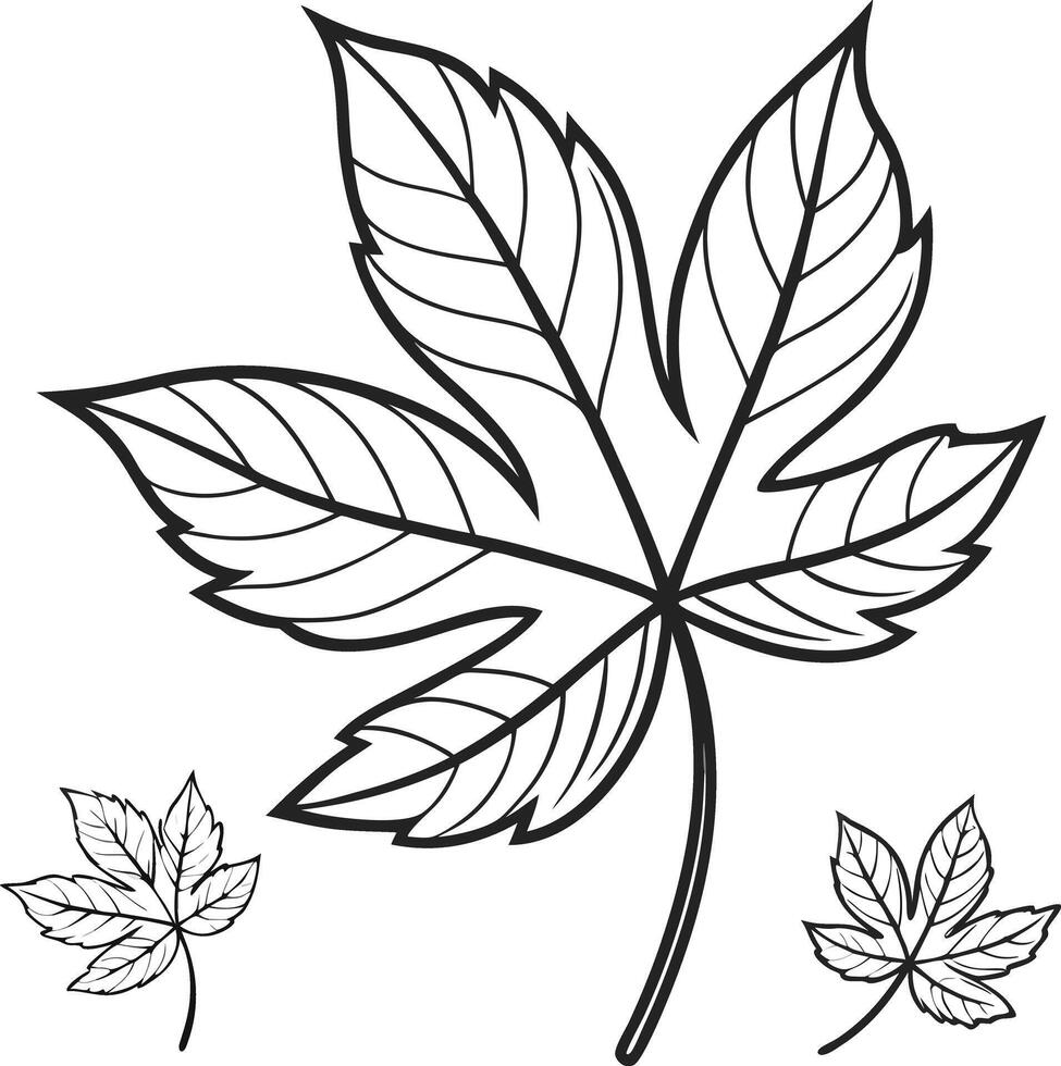 Serene Black and White Line Drawing of Autumn Leaves Isolated on White Background, Featuring Detailed Veins and Elegant Simplicity vector