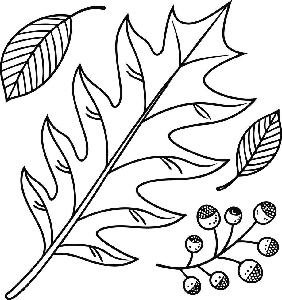 Elegant Black and White Line Art of Autumn Leaves and Berries, Serene Fall Nature Illustration, Perfect for Coloring Pages or Decor vector