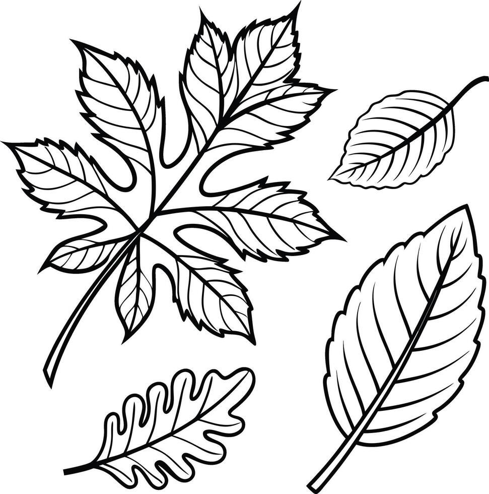 Serene Black and White Autumn Leaf Illustration Four Detailed Leaves on White Background, Peaceful Mood vector