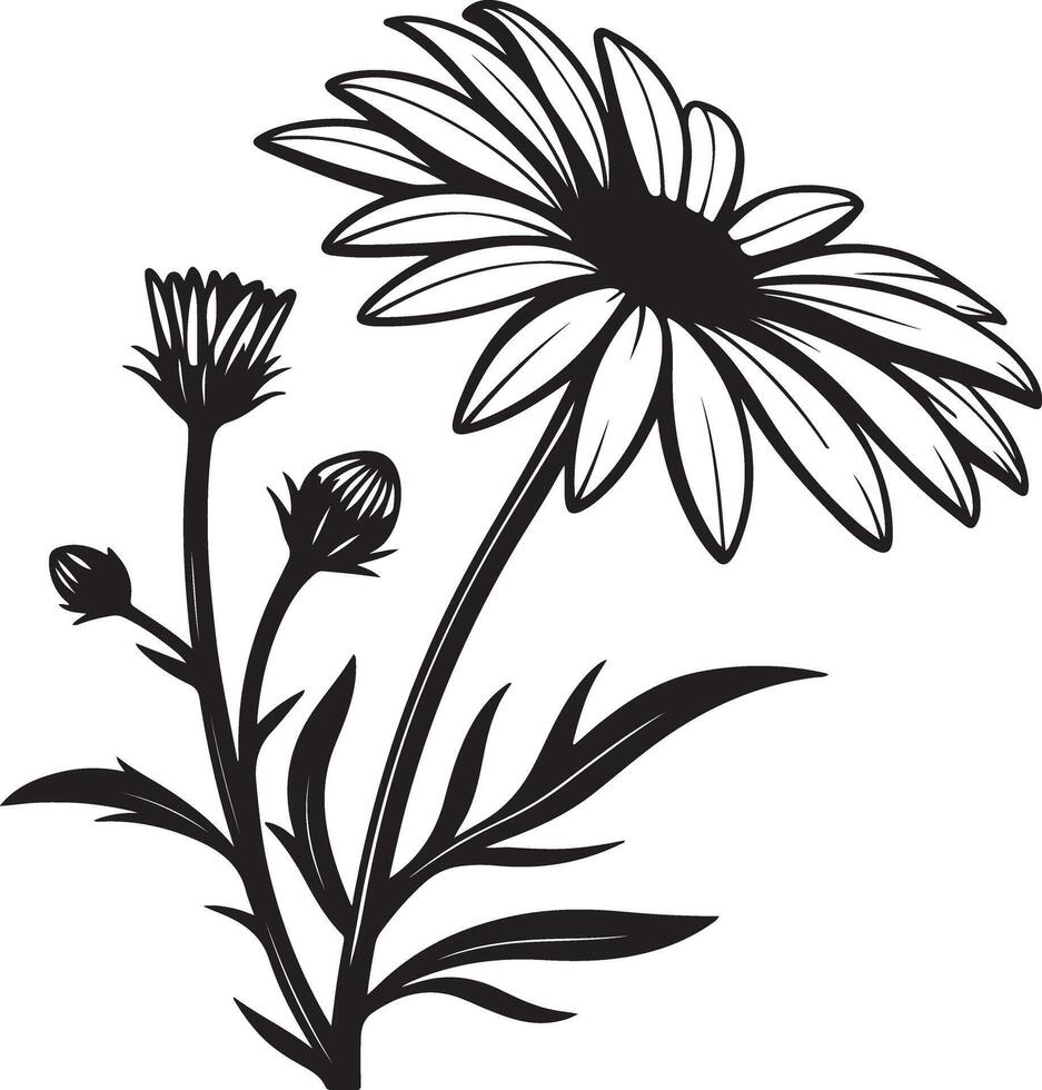 Elegant Black and White Daisy Flower Illustration with Buds, Blooming in a Serene Garden Setting vector