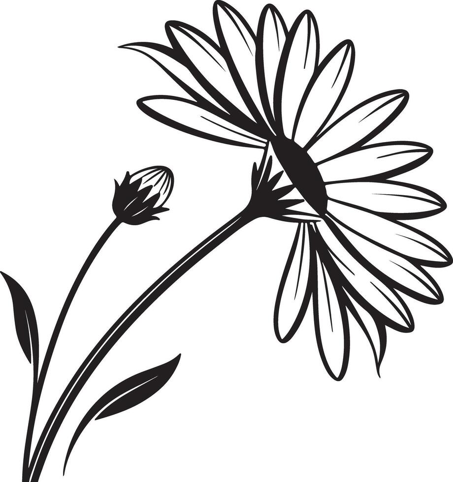 Elegant Black and White Daisy Flower in Full Bloom, Graceful Stem and Bud, Simple Line Art Floral Design, Delicate Botanical Illustration vector