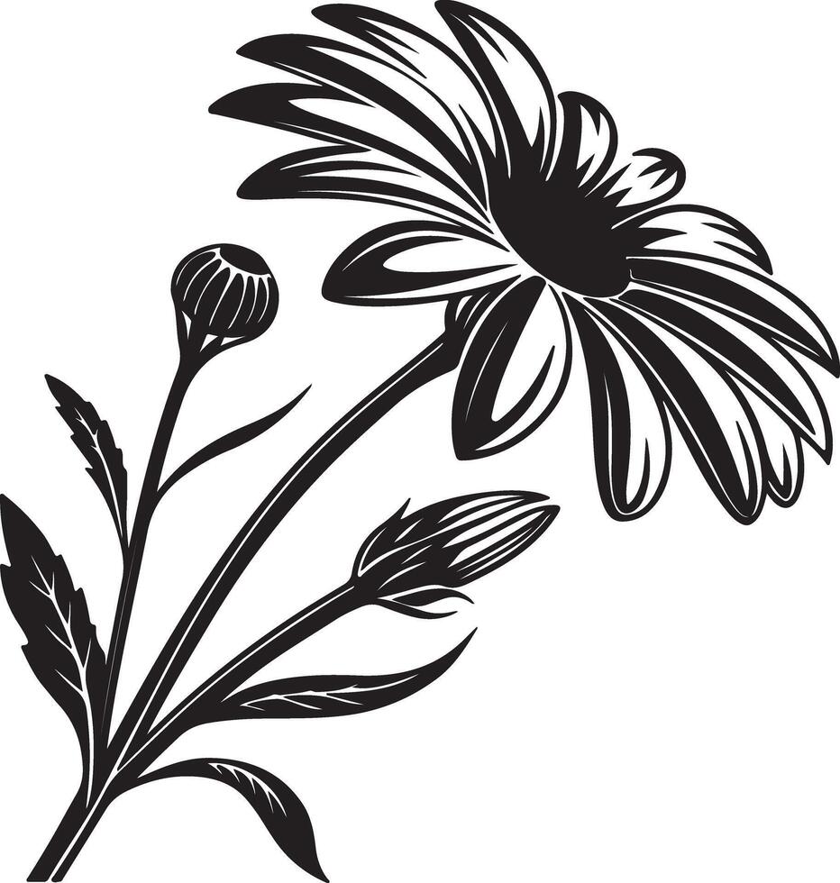 Elegant Black and White Daisy Flower with Buds, Blooming Gracefully in Simple Artistic Style, Isolated on White Background vector