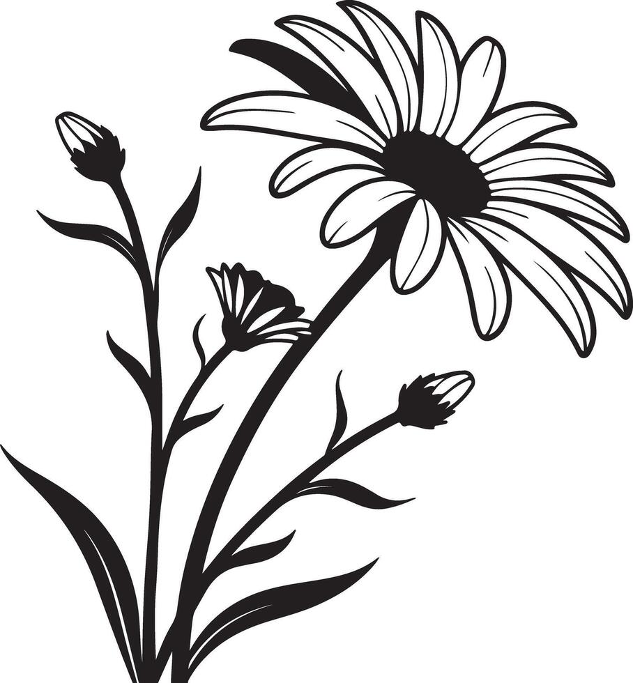 Elegant Black and White Daisy Flower Bouquet Illustration, Blooming in Summer, Graceful Floral Design, Serene Nature Scene vector