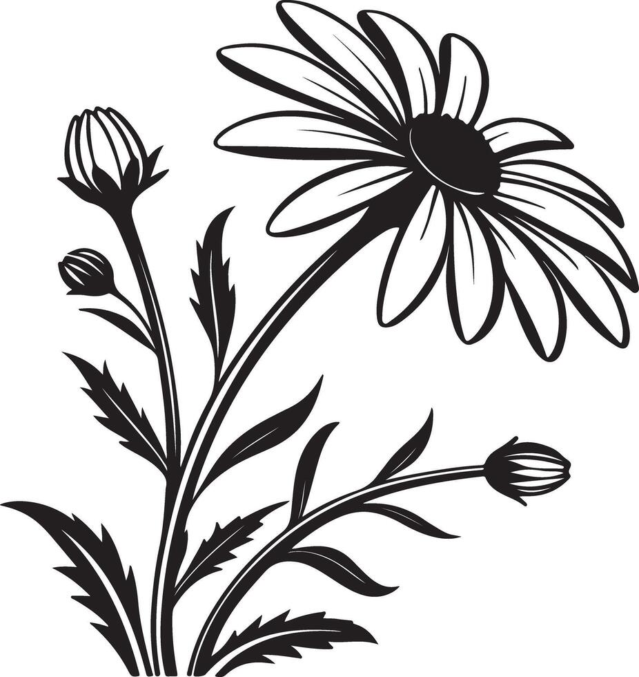 Elegant Black and White Daisy Flower Illustration Blooming in Simple Style Against White Background - Professional digital artwork with vibrant colors and detailed composition vector