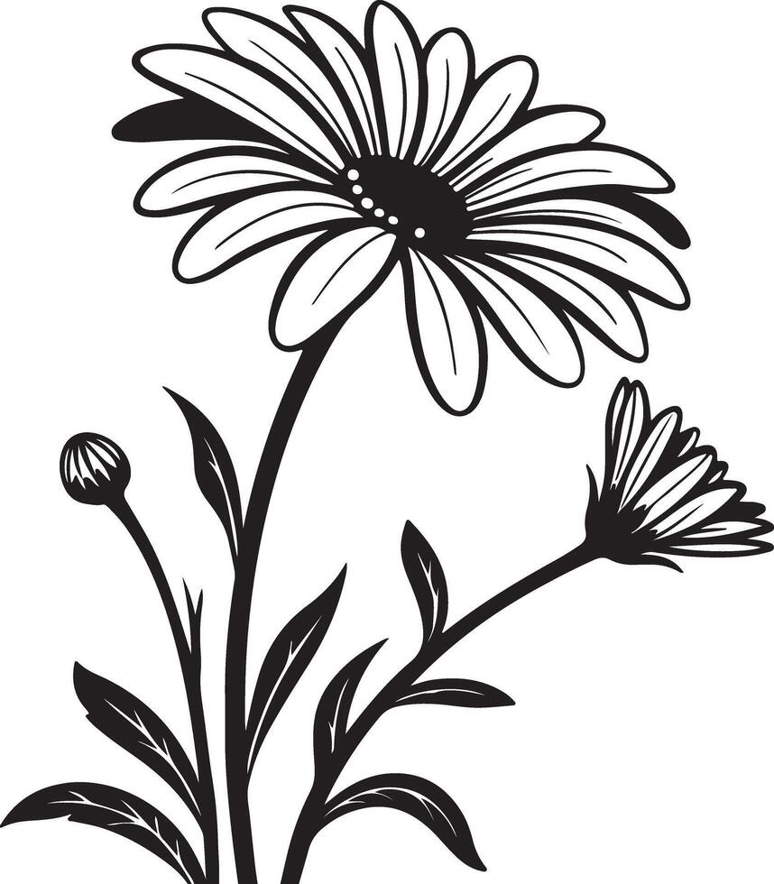 Elegant Black and White Daisy Flowers Blooming Gracefully in a Serene Garden Setting, Artistic Line Art Illustration vector