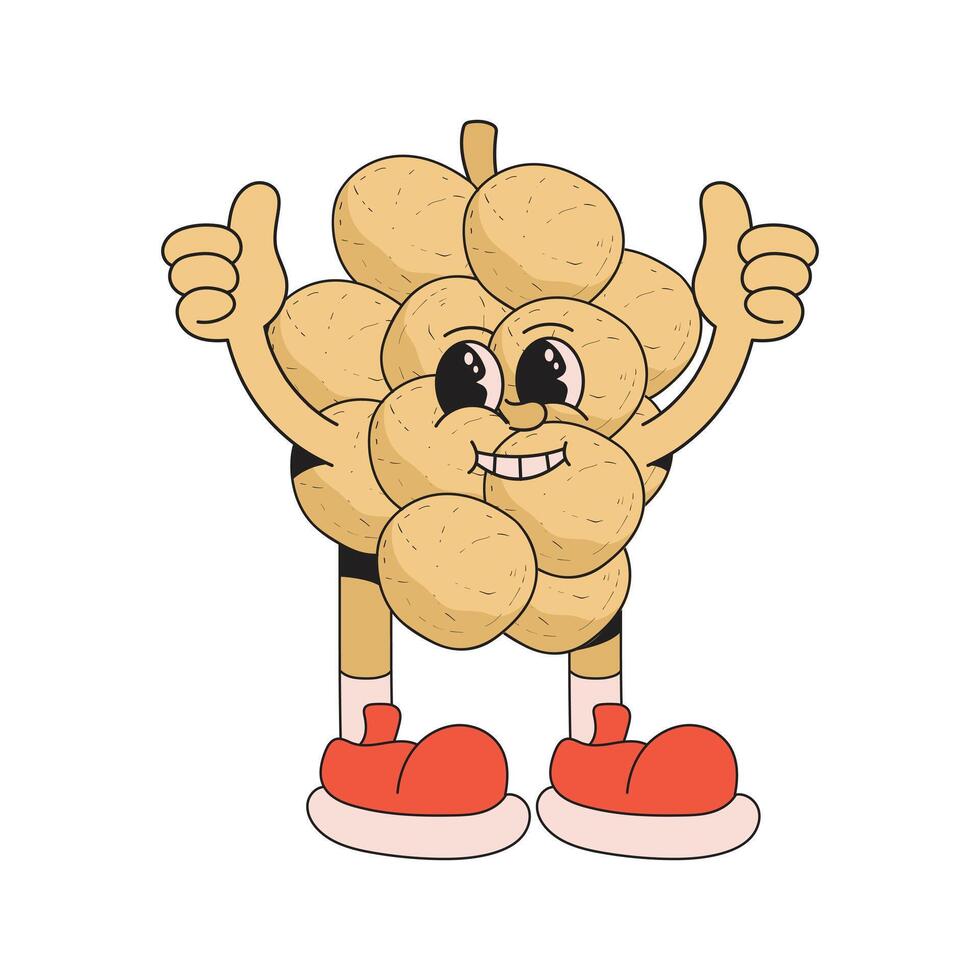 Duku fruit mascot character cartoon icon illustration vector